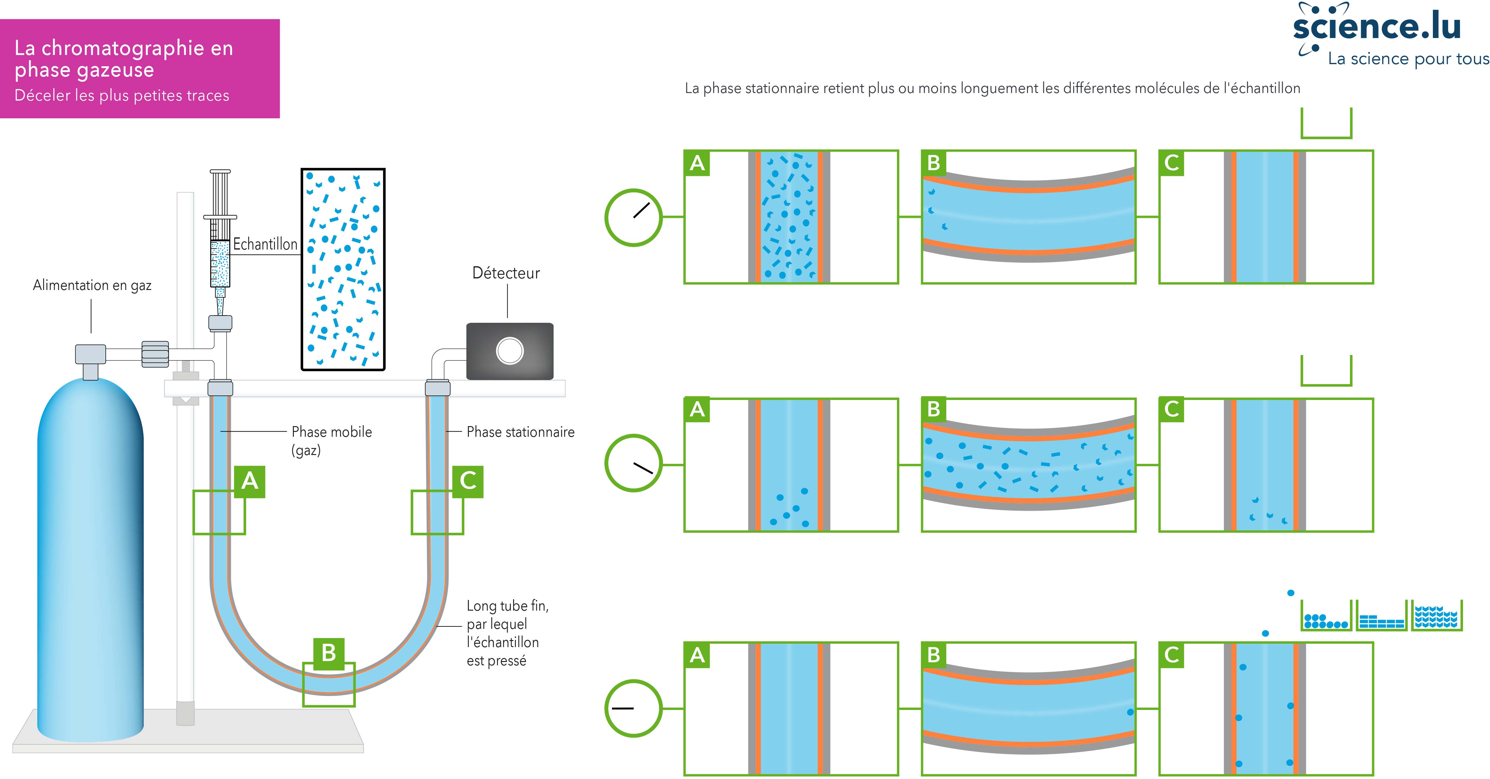 Chromatographie en phase gazeuse