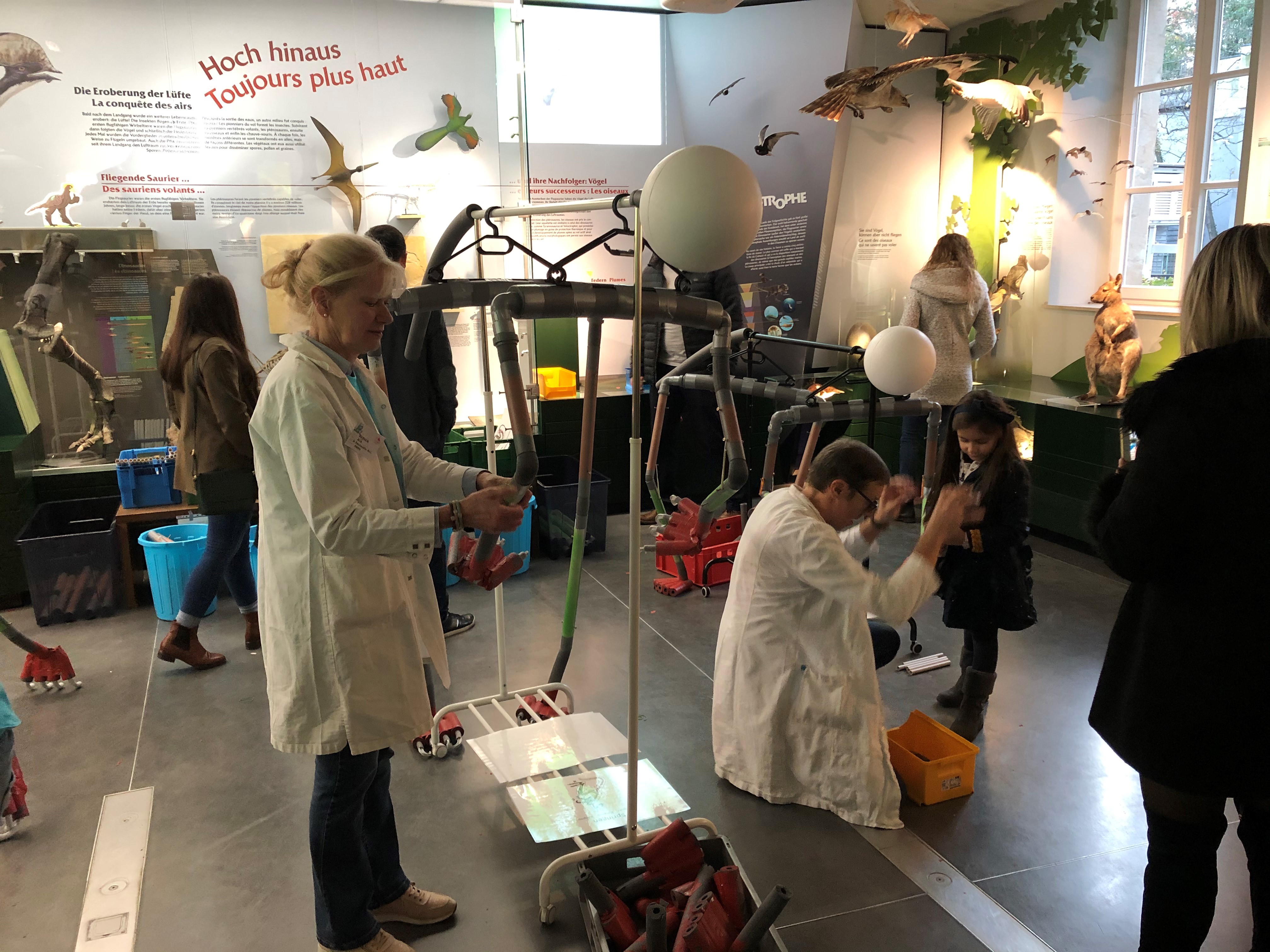 Workshop naturmusee Science Festival 2019