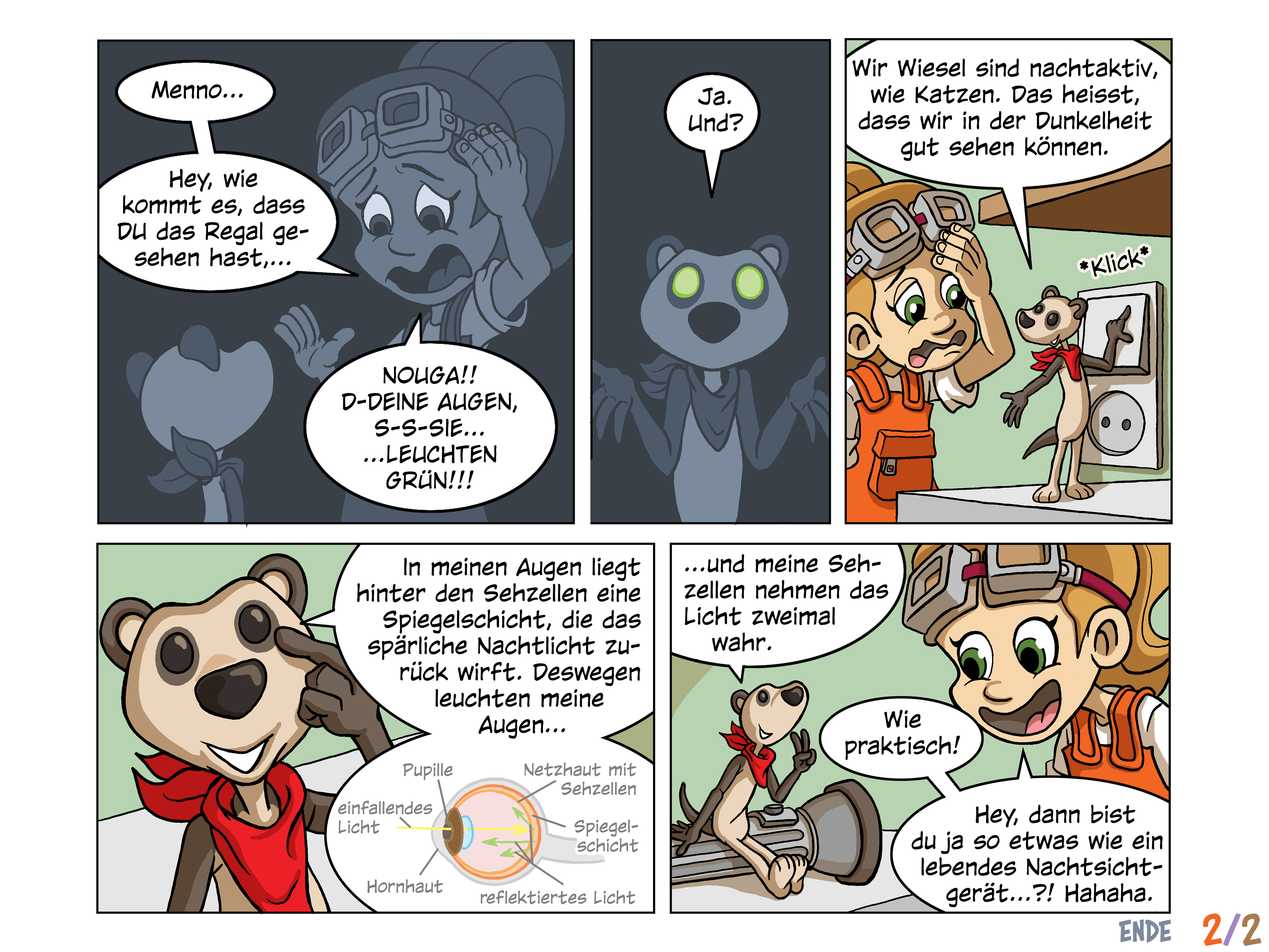 Comic Lizzie und Nouga nachtaktive Tiere Seite 2