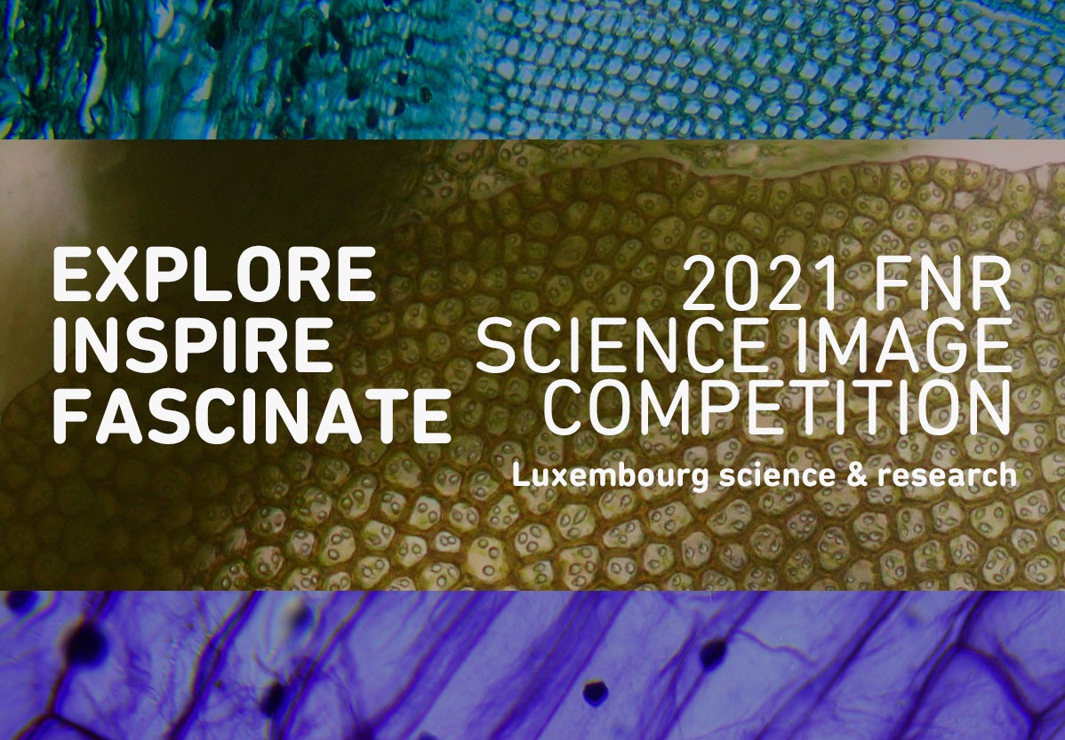 FNR Science Image Competition