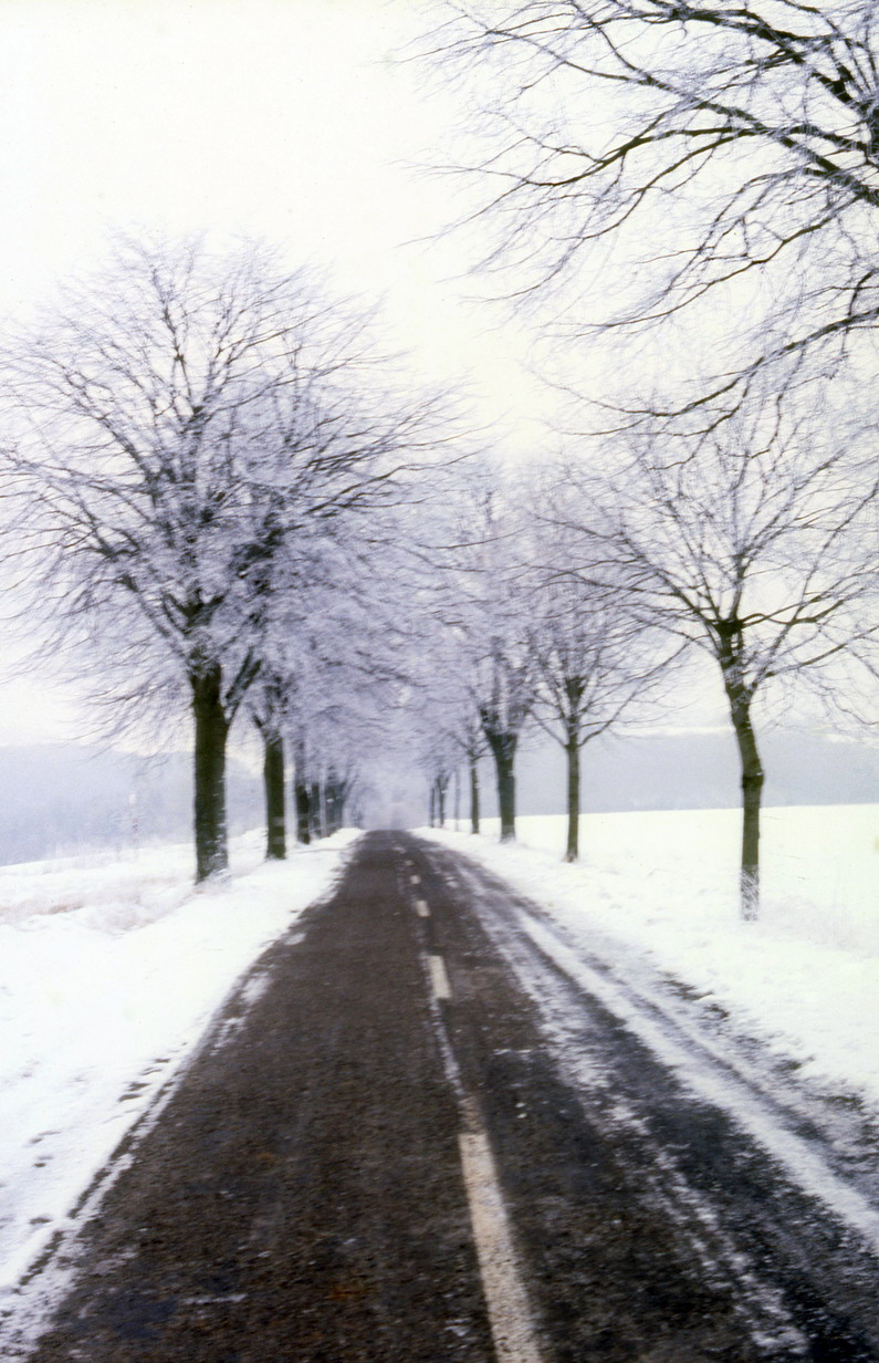 Warum wird es leise, wenn Schnee liegt? | www.science.lu