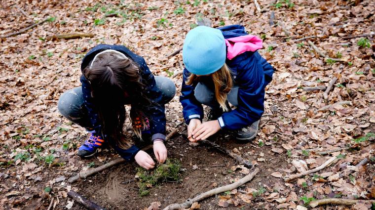 Kinder im Wald