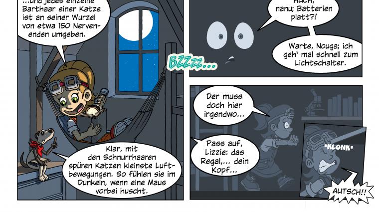 Lizzie und Nouga Comic nachtaktive Tiere