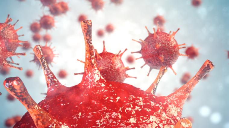 Coronavirus