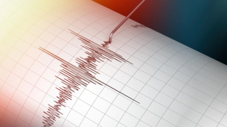 seismograph