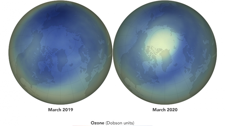 artic ozone 2019 2020