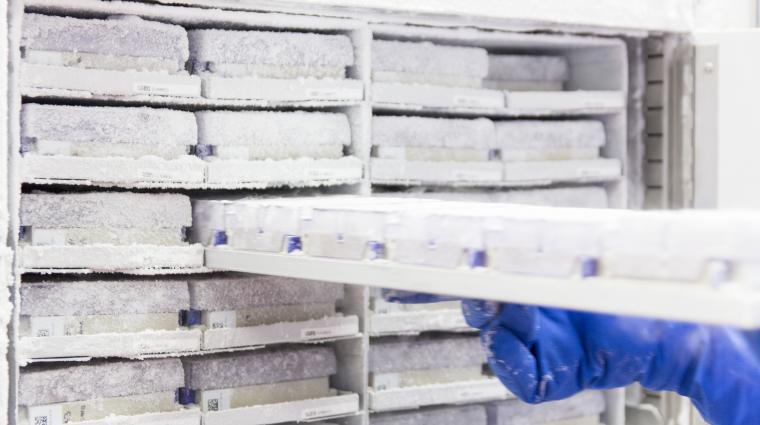 Gefrierkisten bei -80°C