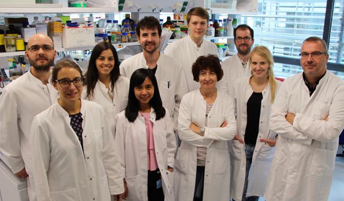 Les scientifiques du groupe Molecular Disease Mechanisms (MDM) de l’Université du Luxembourg