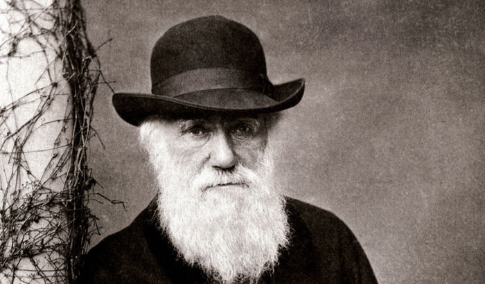 Charles Darwin et la théorie de l'évolution