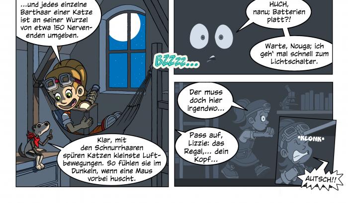 Lizzie und Nouga Comic nachtaktive Tiere