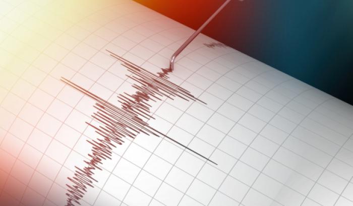 seismograph