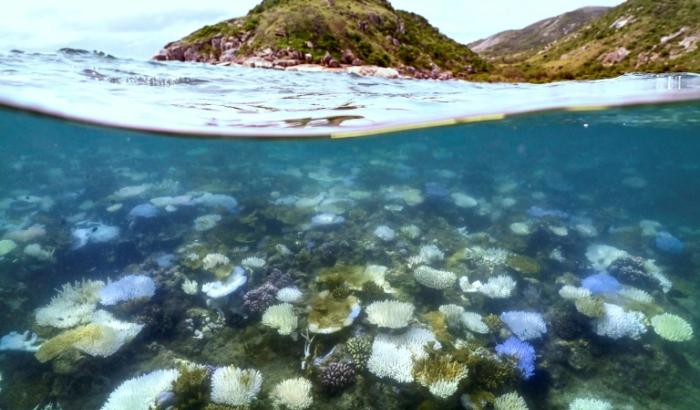 Biodiversität, Klima, Gesundheit: Unsere Konsumgewohnheiten wirken sich Experten zufolge auf die verschiedenen Krisen weltweit aus und führen zur Zerstörung wichtiger Ökosysteme.