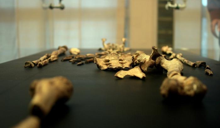 Das mehr als drei Millionen Jahre alte Fossil Lucy gilt als bekanntester Vorläufer des Menschen - nun soll es erstmals in Europa zu sehen sein. Die Überreste der "Urmutter der Menschheit" sollen ab Ende August in Prag ausgestellt werden.