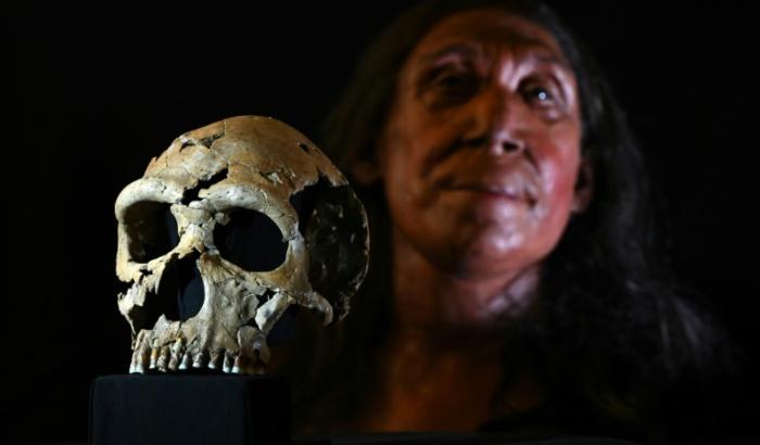 Neandertaler haben bereits vor rund 125.000 Jahren die Gewinnung von Fett aus Knochen perfektioniert. Das zeigen Funde der Ausgrabungsstätte Neumark-Nord im Geiseltal in Sachsen-Anhalt.