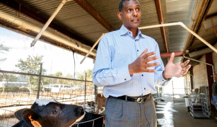 Le professeur de sciences animales Ermias Kebreab explique les enjeux de la réduction des émissions de méthane chez les vaches à l'université UC Davis en Californie le 23 octobre 2024