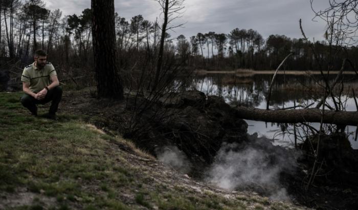 Un agent de l'Office national des forêts examine le 21 mars 2023 près d'Hostens, en Gironde, l'endroit d'où émerge de la fumée, près d'une ancienne veine de lignite où le feu couve toujours dans le sous-sol depuis le gigantesque incendie de l'été 2022