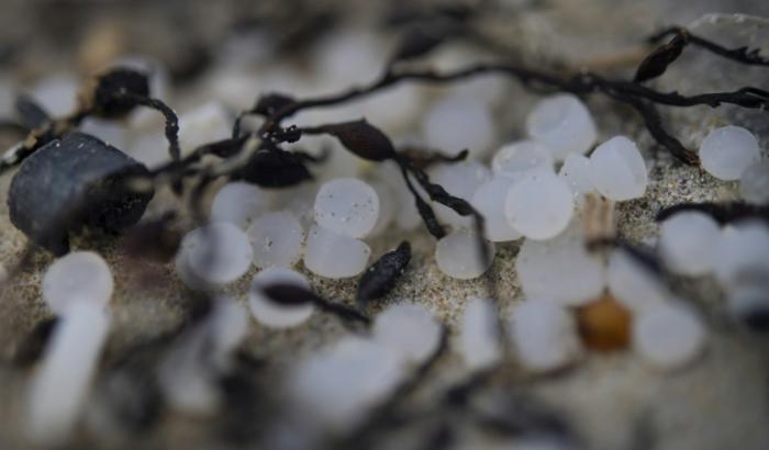 Des granules de plastique industriels, également appelés "larmes de sirène", le 15 février 2023 à Plomeur, dans l'ouest de la France