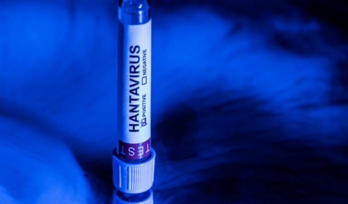Hantavirus: pour les experts, le défi d'informer sans réveiller la peur du Covid