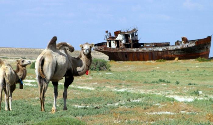 Des épaves de navires rouillées le 4 août 2010 dans le village de Dzhambul (Kazakhstan) près de la mer d'Aral