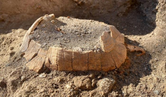 Photo non datée diffusée le 24 juin 2022 par le parc archéologique de Pompéi (Italie), montrant les restes d'une tortue découverte dans les ruines