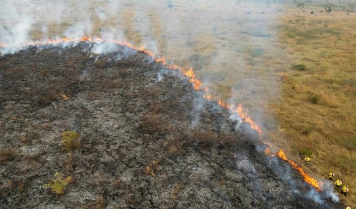 "Alarmstufe rot": Angesichts des fortschreitenden Klimawandels hat die Zerstörung tropischer Urwälder laut einer Studie im vergangenen Jahr den höchsten Stand seit mehr als zwei Jahrzehnten erreicht.