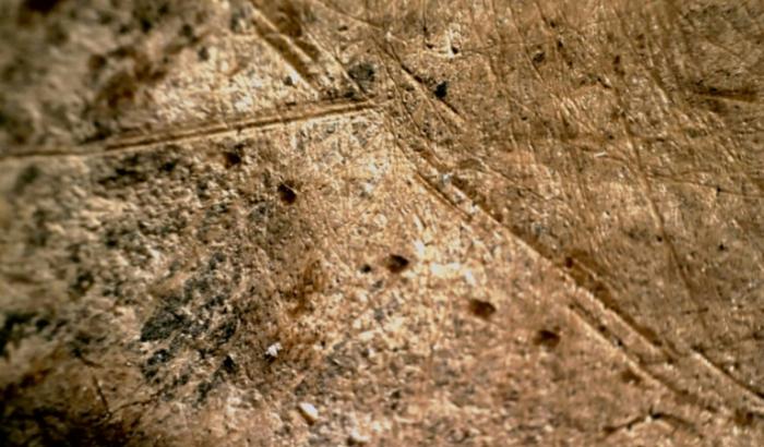 Image non datée fournie par le centre de recherche Monrepos en Allemagne de marques laissées par des outils en pierre sur un os d'éléphant datant d'il y a environ 125.000 ans