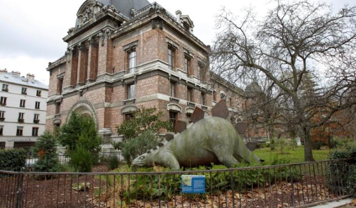 Le Muséum national d'histoire naturelle, à Paeris le 8 décembre 2009