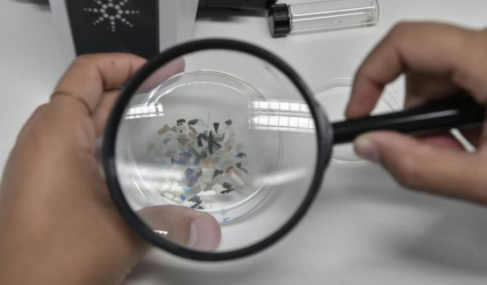 Ces dernières années, une série d'études ayant fait la Une de l'actualité ont affirmé que des microplastiques avaient été retrouvés dans l'entièreté du corps humain, ses organes dont le cerveau, ainsi que le sang