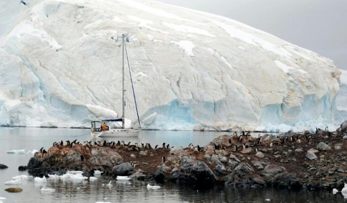 Polarforscher haben wegen der Ausbreitung der Vogelgrippe in der Antarktis Alarm geschlagen. Eine besonders gefährliche Variante des Virus sei in der Lage, 100 Prozent der infizierten Tiere zu töten.