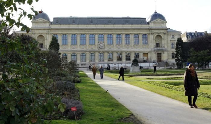 L'exposition "Migrations: une odyssée humaine" s'ouvre mercredi au Muséum national d'Histoire naturelle à Paris