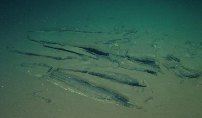 Photo prise par "Global TREnD, IDSSE" et diffusée le 10 juin 2026 montrant le plus grand cimetière de baleines connu au monde, découvert par le submersible chinois Fendouzhe, à sept kilomètres de profondeur dans l'océan Indien