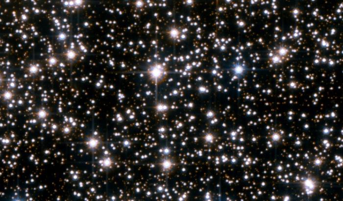 Können im Weltraum Kinder gezeugt werden? Erstmals hat eine wissenschaftliche Studie die Navigationsfähigkeit von Spermien in der Schwerelosigkeit untersucht.