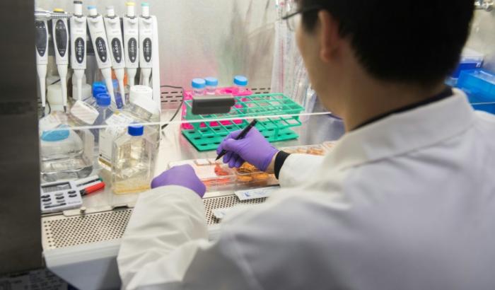 Die der US-Regierung unterstehenden Nationalen Gesundheitsinstitute (NIH) haben eine deutliche Kürzung ihrer Zuschüsse an Universitäten und andere Forschungseinrichtungen angekündigt. Wissenschaftler warnen vor verheerenden Folgen der Maßnahme.
