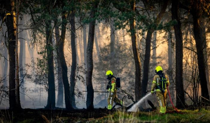 Nach einem Start ins Jahr 2026 mit extremen Wetterereignissen haben Forscher für die kommenden Monate vor "besonders heftigen" Waldbränden gewarnt.