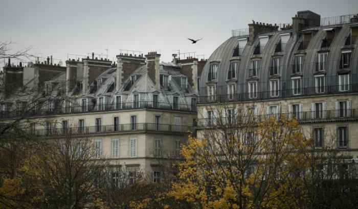 Un oiseau au-dessus des habitations près du jardin des Tuileries à Paris le 20 novembre 2017