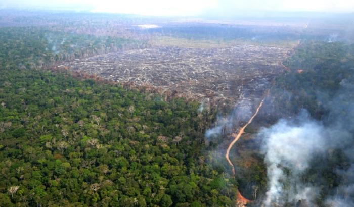 Die Abholzung des Amazonas-Regenwalds führt neusten wissenschaftlichen Erkenntnisse zufolge dazu, dass es in der Regenzeit mehr und in der Trockenzeit weniger regnet. Dadurch werden - anders als bislang angenommen - nicht nur Dürren, sondern auch Überschwemmungen begünstigt.