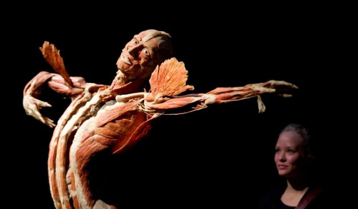 Une jeune femme se tient derrière un corps conservé par le plastinateur allemand Gunther von Hagens lors de l’exposition "Body Worlds &amp; The Story of the Heart" à Berlin, le 27 avril 2011