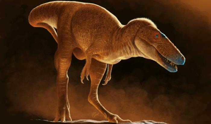 Leichter als sein berühmter Verwandter und vor Jahrzehnten falsch zugeordnet: Forscher haben anhand neu analysierter Knochenfunde aus den 70er-Jahren eine neue Saurier-Art bestimmt, die die Familiengeschichte des berühmten Tyrannosaurus Rex einer aktuellen Studie zufolge neu schreibt.