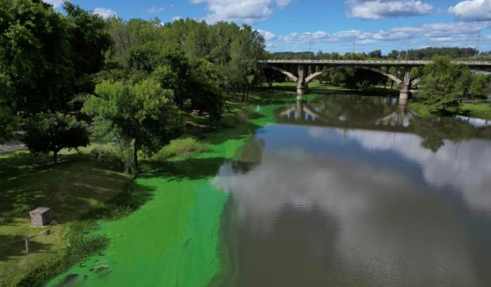Les rives du fleuve Rio Negro couvertes de vase verte en raison de la présence de cyanobactéries, à Paso de los Toros, en Uruguay, le 14 mars 2025