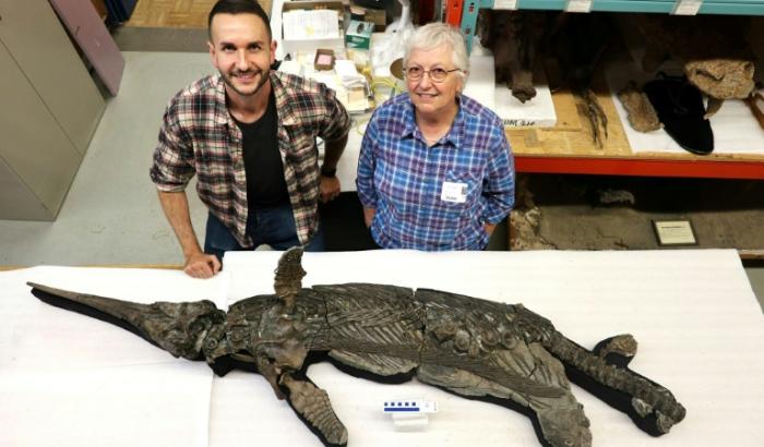 Britische Forscher haben nach eigenen Angaben eine bisher unbekannte Art von Meeressauriern entdeckt. Ein versteinertes Skelett von der als Fossilienfundstätte bekannten Jurassic Coast in Südengland wurde der Gruppe der Ichthyosaurier zugeordnet.