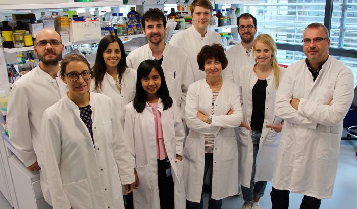 Molecular Disease Mechanisms-Team, University of Luxembourg