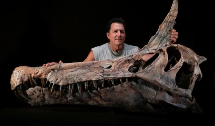 Le paléontologue américain Paul Sereno pose à l'Université de Chicago, le 19 septembre 2025, près d'un moulage du crâne du premier fossile découvert de Spinosaurus Mirabilis, nouvelle espèce de Spinosaurus mise au jour