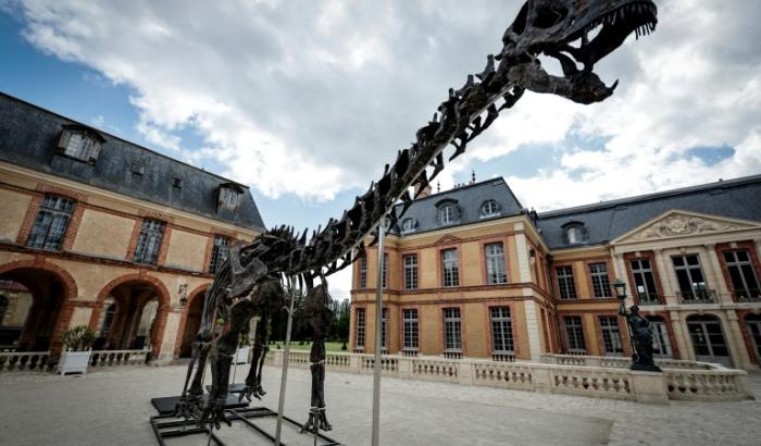 Le squelette de l'apatosaure surnommé Vulcain, présenté au château de Dampierre-en-Yvelines, dans les Yvelines, le 10 juillet 2024