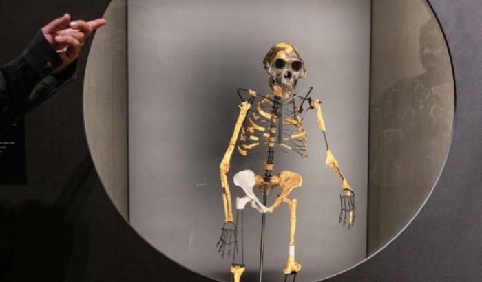 Der berühmte Urmensch Lucy hatte womöglich wirklich einen Nachbarn: Neu entdeckte Fossilien in Äthiopien haben Forscher in der These bestärkt, dass es damals noch andere Frühmenschen gab.