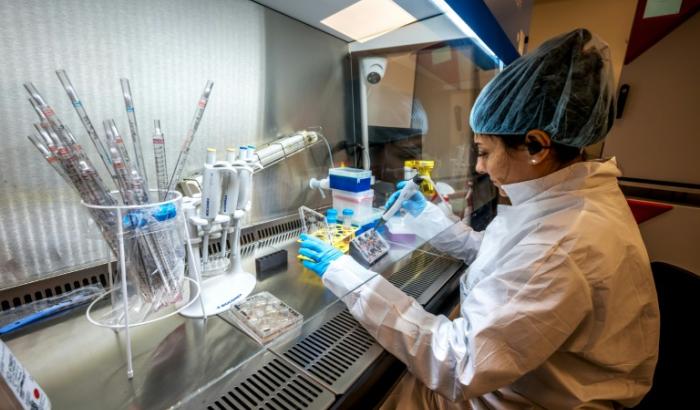 Une employée travaille dans le laboratoire de la start-up FinalSpark, le 3 octobre 2025 à Vevey, en Suisse