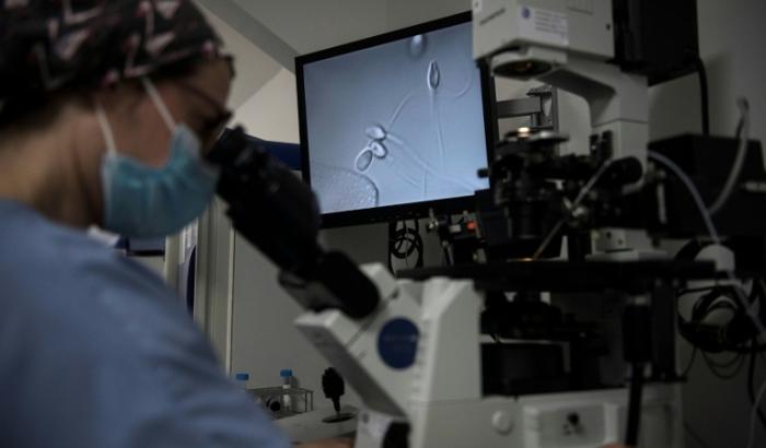 Sélection des spermatozoïdes à traiter pour une procédure de procréation médicalement assistée (PMA) au centre de fertilité du Groupe Hospitalier Diaconesses Croix Saint-Simon, à Paris, le 25 octobre 2022