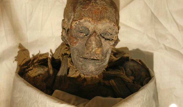 Les restes momifiés de la reine égyptienne Hatchepsout exposés dans une vitrine après avoir été dévoilés au Musée du Caire, le 27 juin 2007