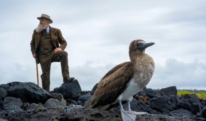 Ein Mann, der Forscherlegende Charles Darwin täuschend ähnlich sieht, beobachtet auf den Galápagos-Inseln Meerechsen und Blaufußtölpel: Kenneth Noll, emeritierter US-Professor, folgt im Darwin-Kostüm den Spuren seines Idols.