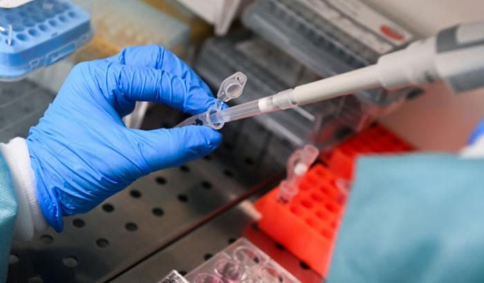 Un chercheur dilue de l'ARN messager au laboratoire Inserm ART-RNAm à Orléans, le 18 novembre 2025