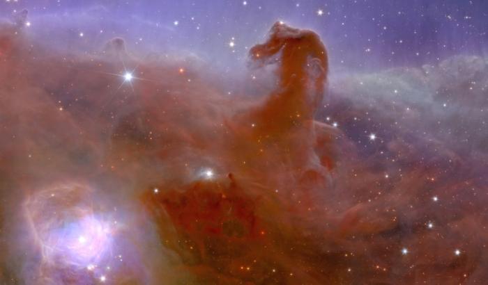 La nébuleuse de la Tête de cheval, l'une des images prises par Euclid, fournie le 2 novembre 2023 par l'ESA dans le cadre d'un programme réalisé avec une contribution de la Nasa